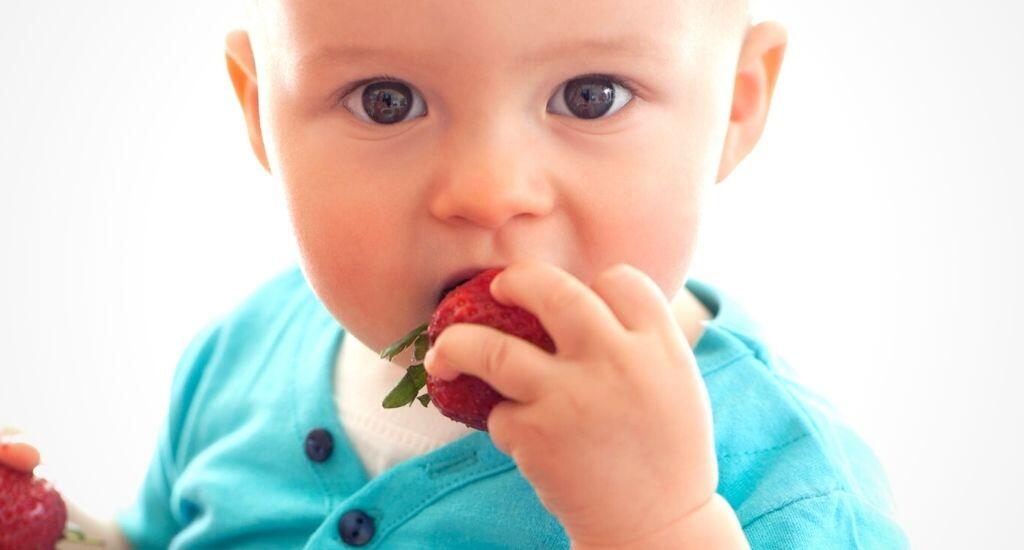 Beikost Mythos entkräftet: Allergieprävention durch frühzeitigen Beikoststart erzielen anstatt durch Meidung