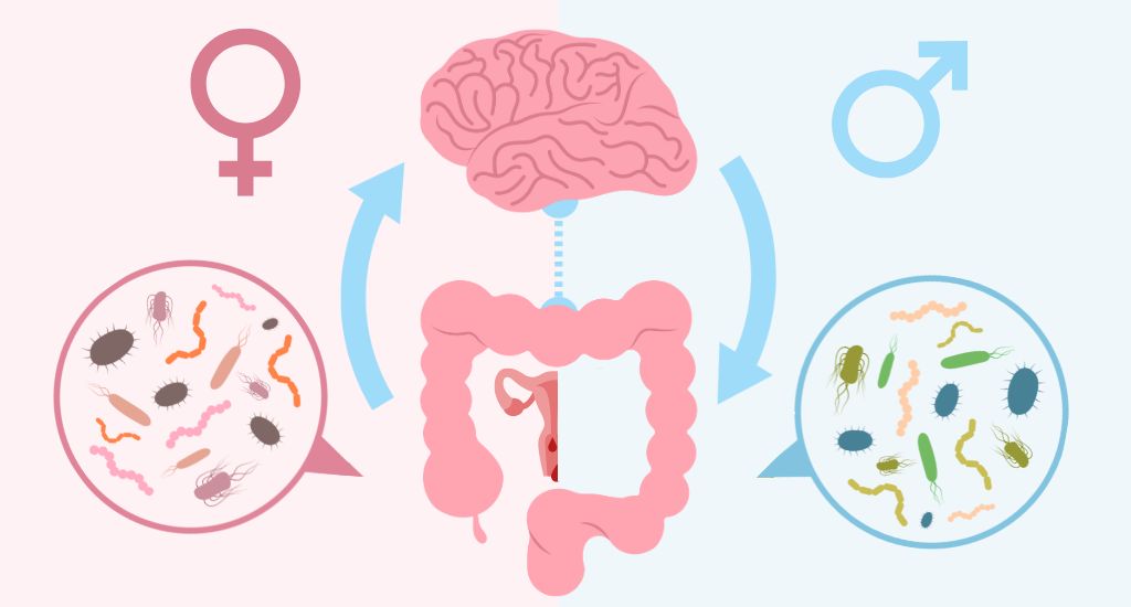 das Mikrobiom ist bei Frauen aufgrund der weiblichen Geschlechtshormone anders als bei Männern